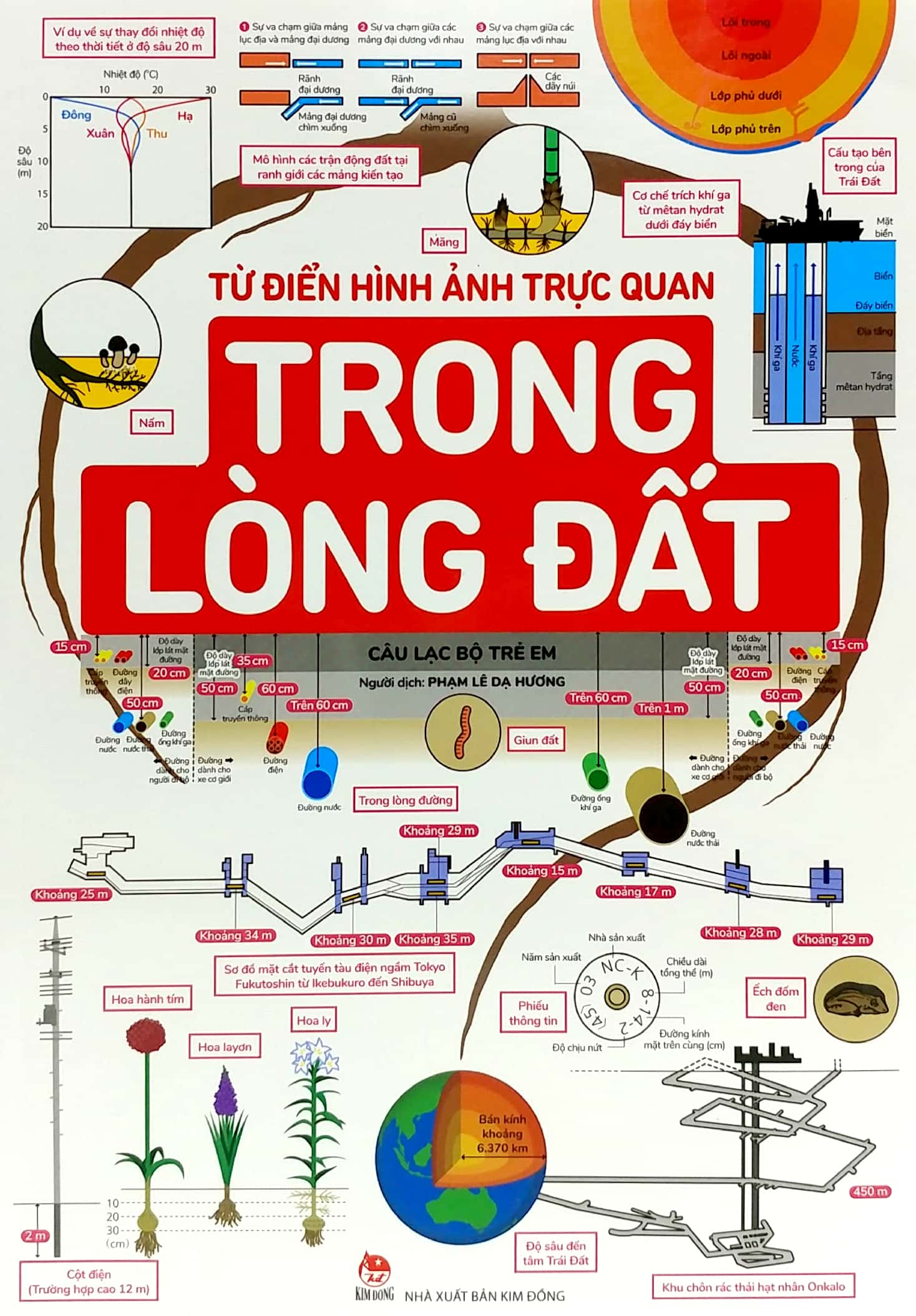 từ điển hình ảnh trực quan - trong lòng đất