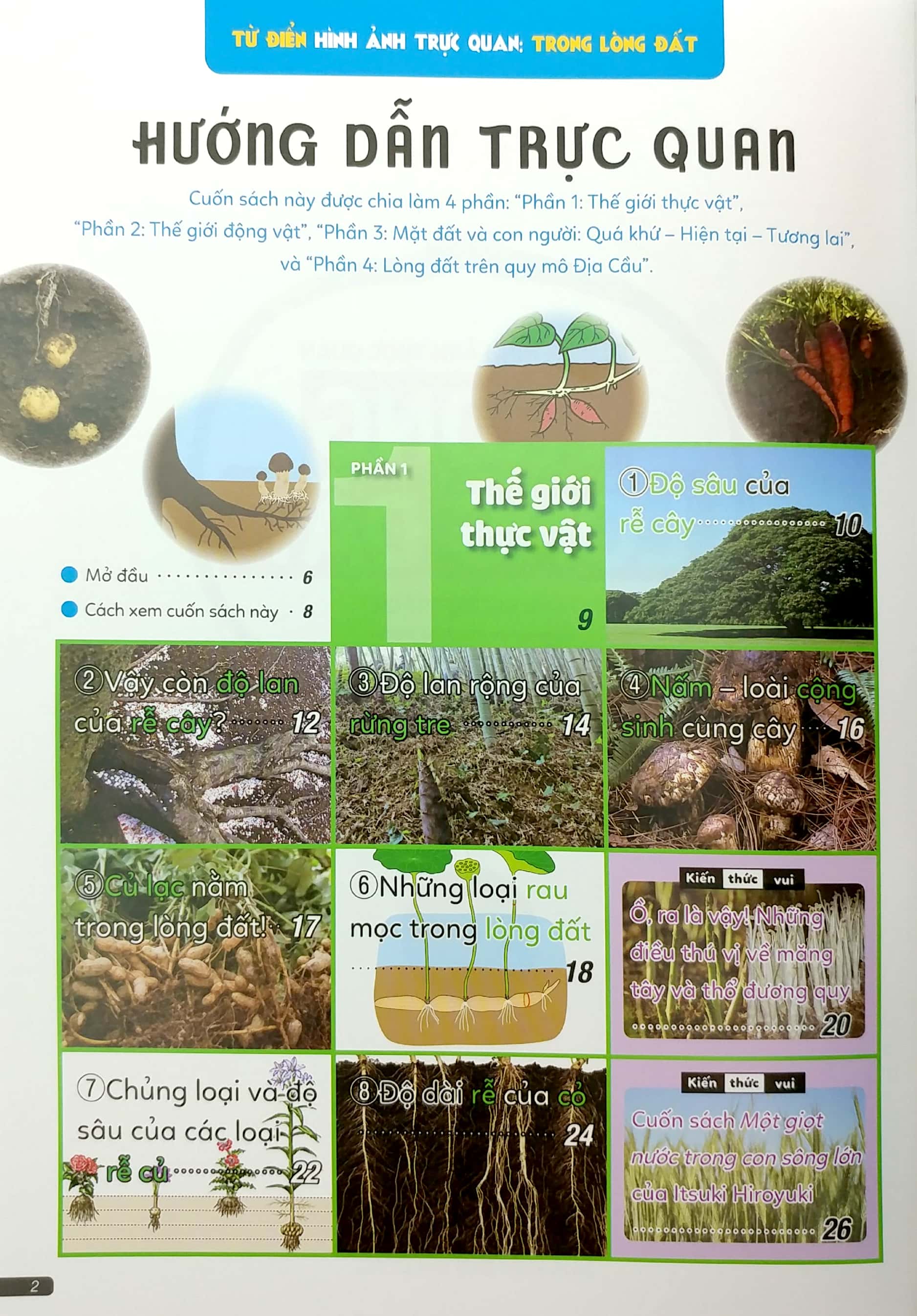 từ điển hình ảnh trực quan - trong lòng đất