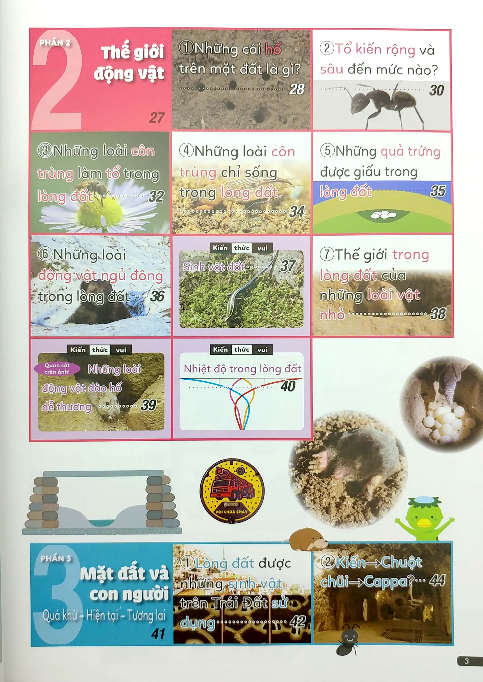 từ điển hình ảnh trực quan - trong lòng đất