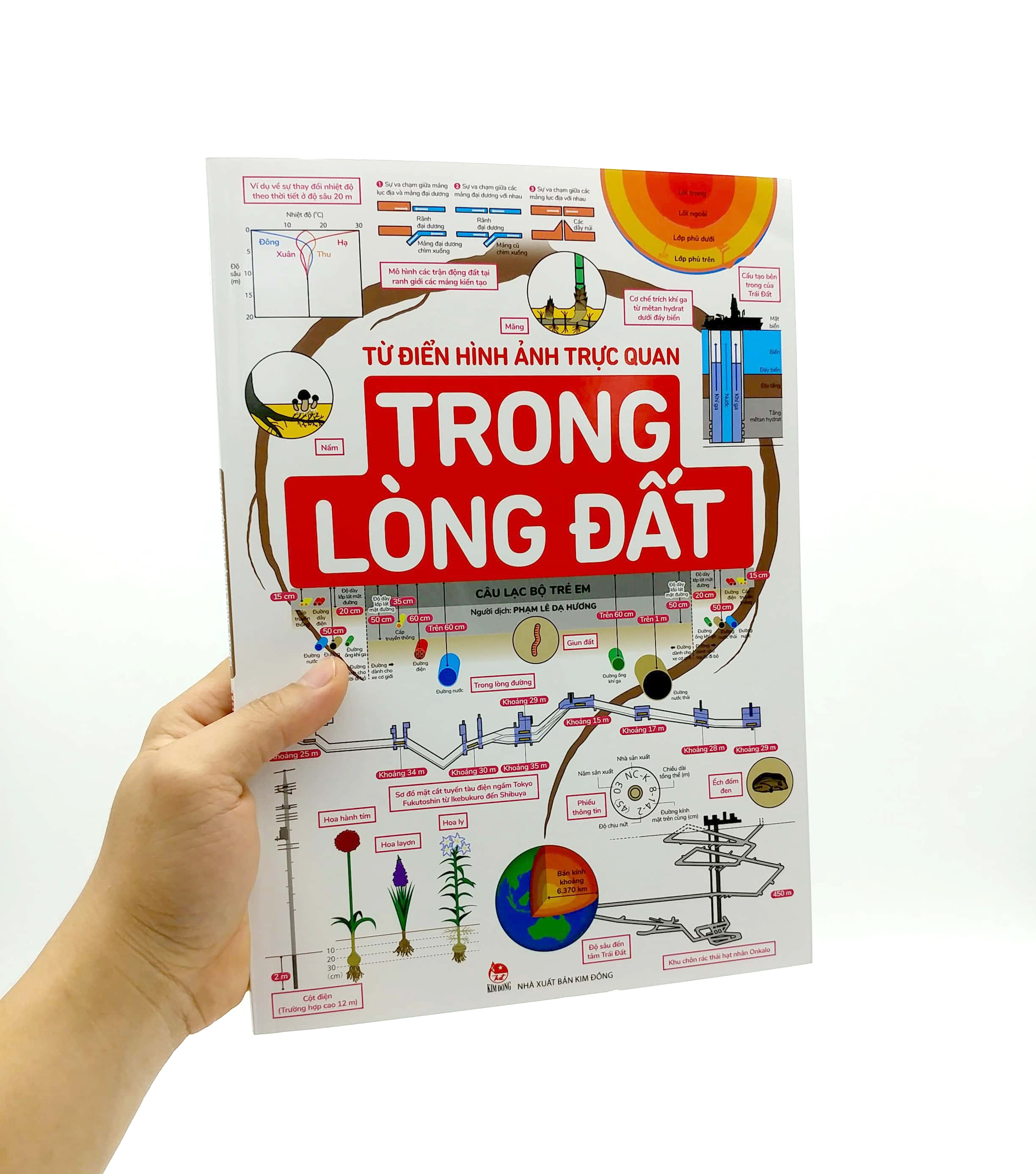 từ điển hình ảnh trực quan - trong lòng đất