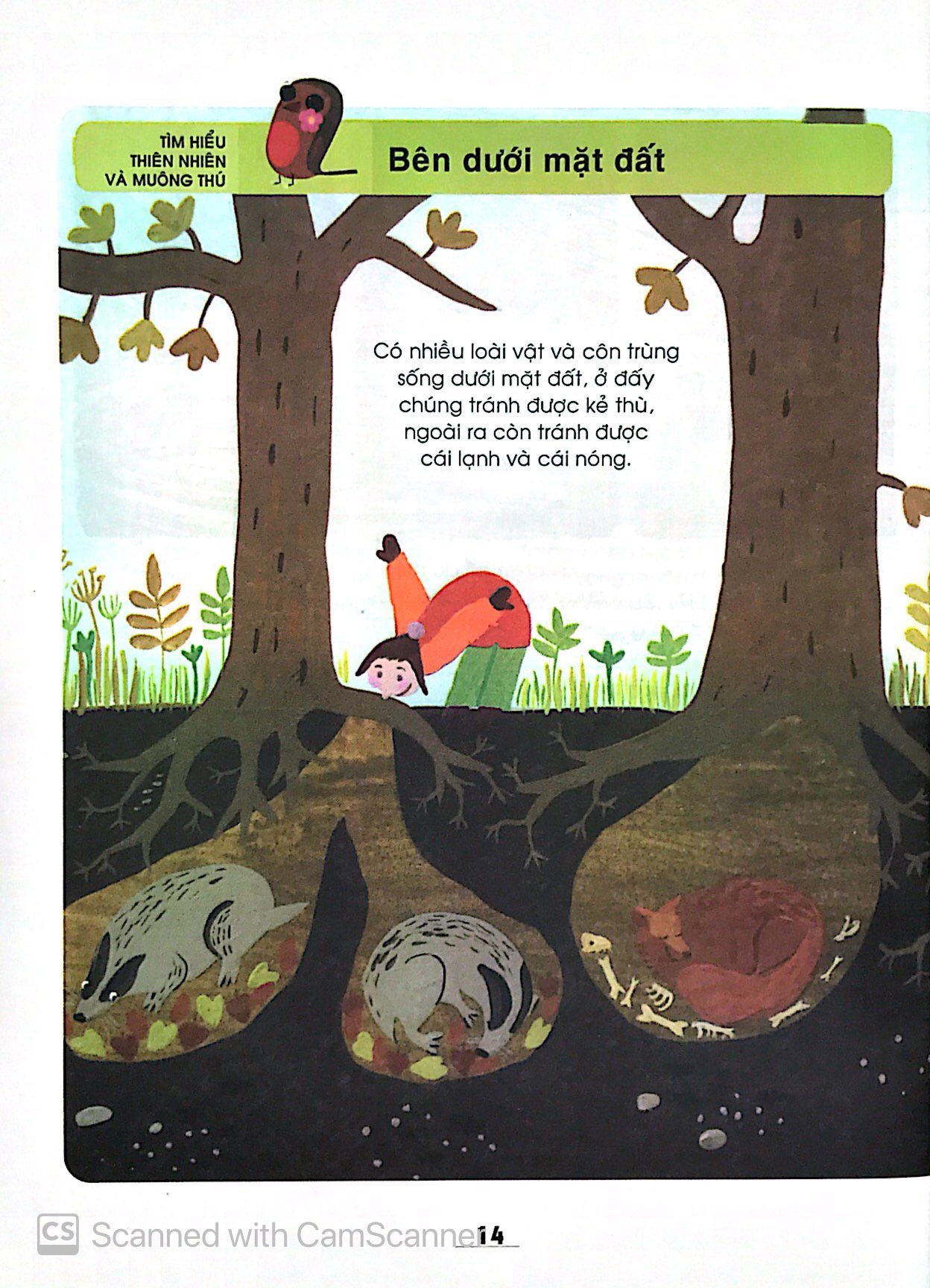 từ điển khoa học của bé - bé tập khám phá?