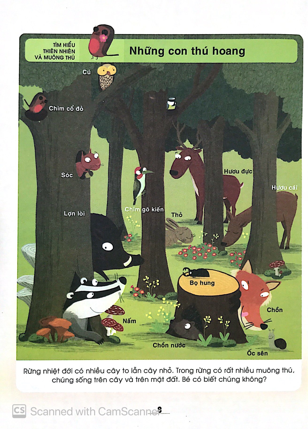 từ điển khoa học của bé - bé tập khám phá?