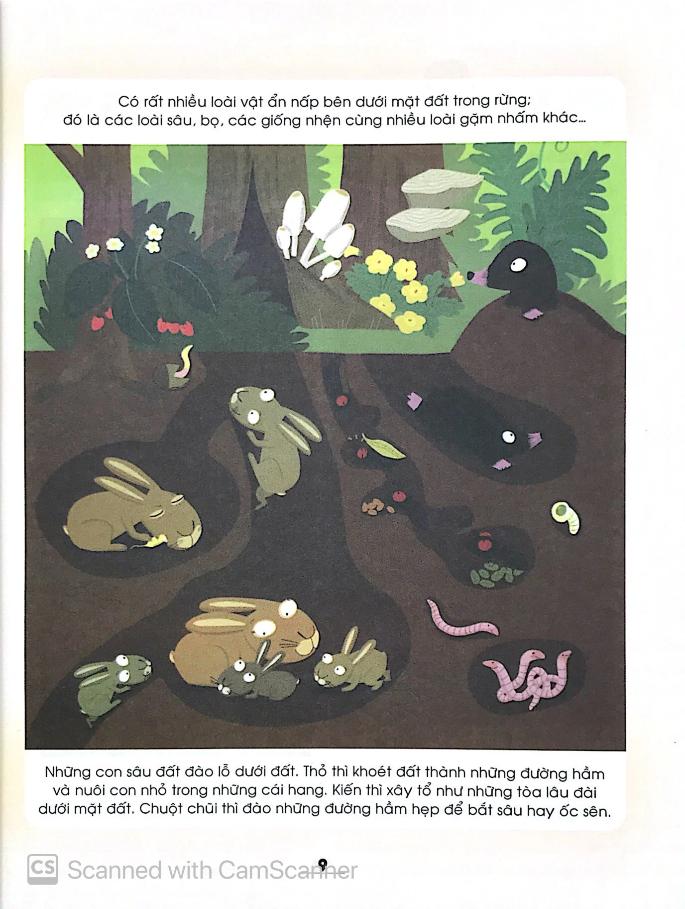 từ điển khoa học của bé - bé tập khám phá?