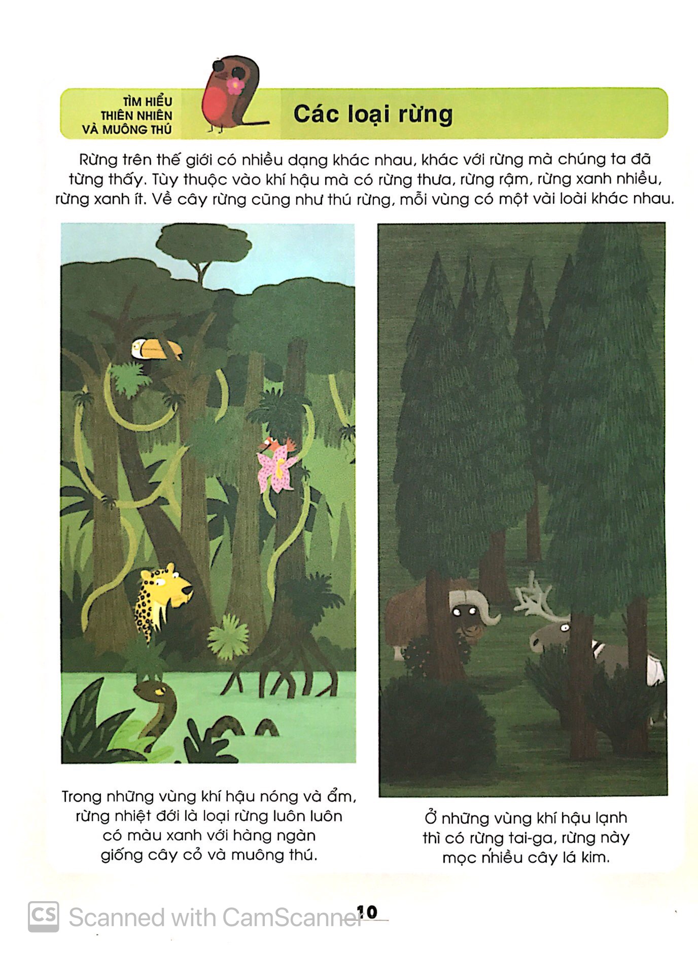 từ điển khoa học của bé - bé tập khám phá?