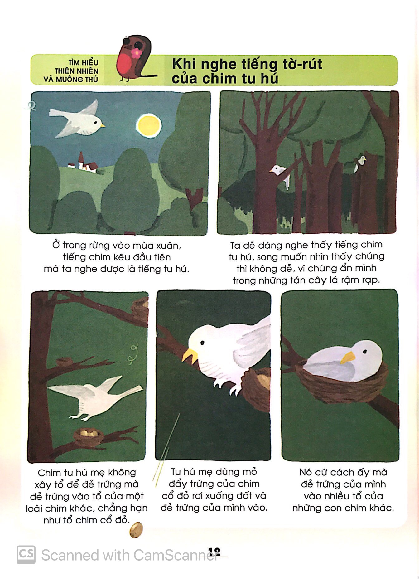 từ điển khoa học của bé - bé tập khám phá?