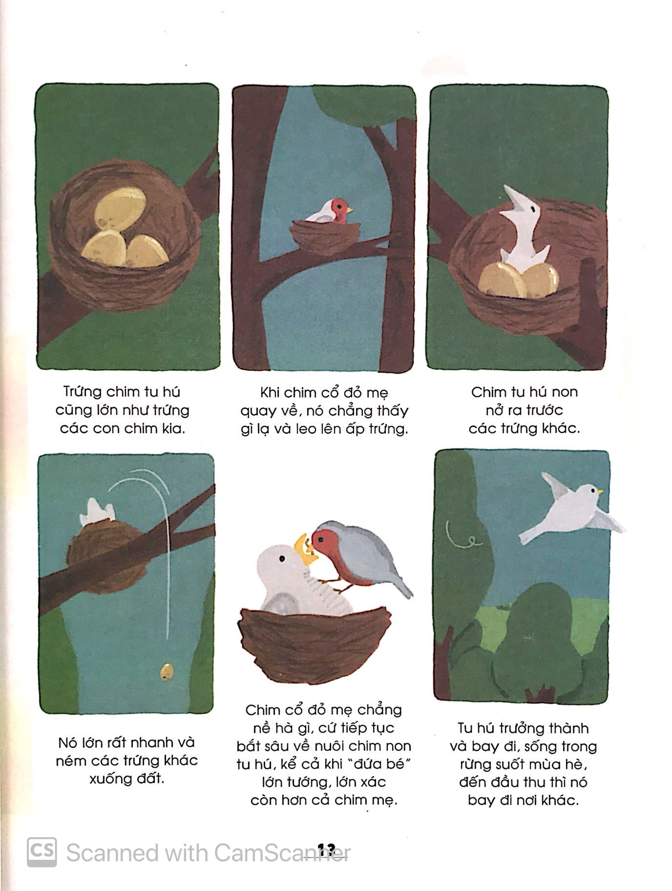 từ điển khoa học của bé - bé tập khám phá?