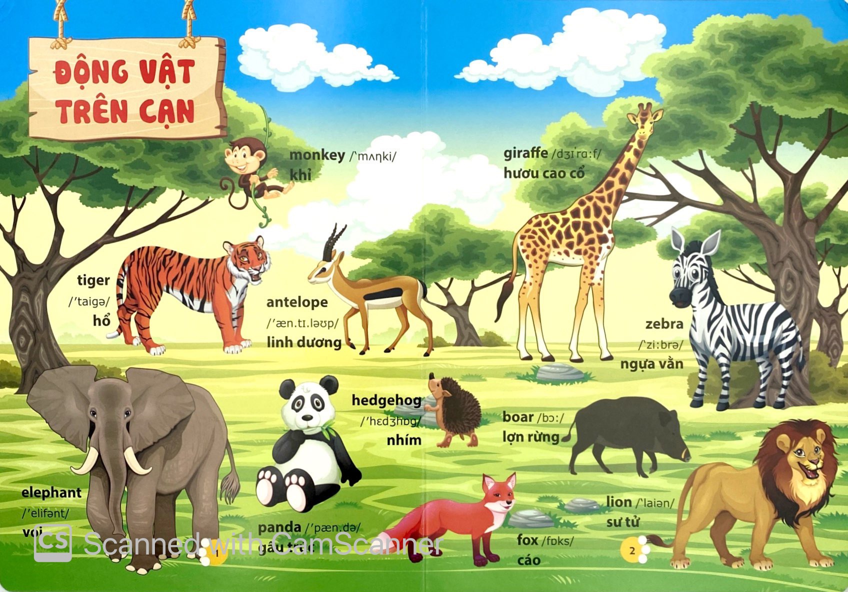 từ điển phát triển ngôn ngữ bằng hình dành cho trẻ mầm non - chủ đề: động vật