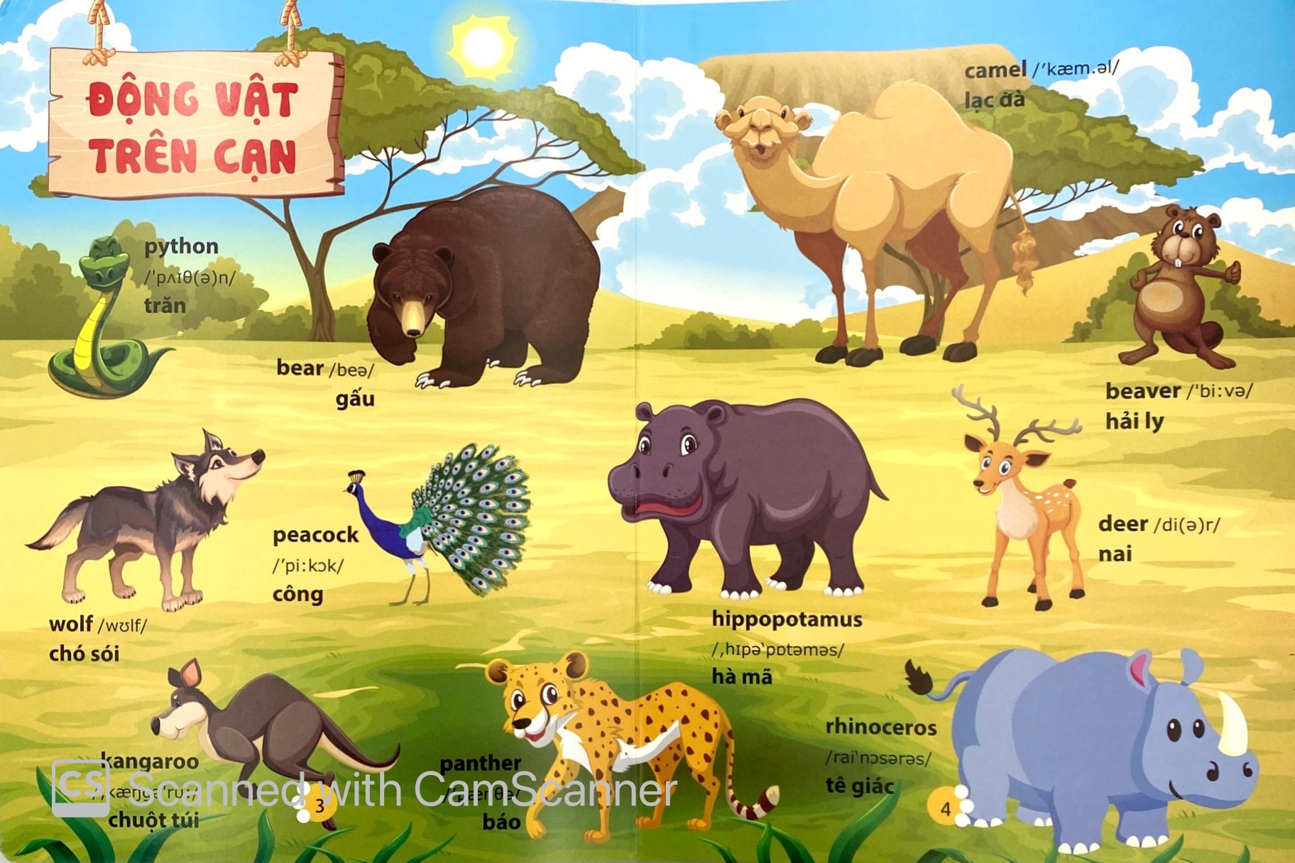 từ điển phát triển ngôn ngữ bằng hình dành cho trẻ mầm non - chủ đề: động vật