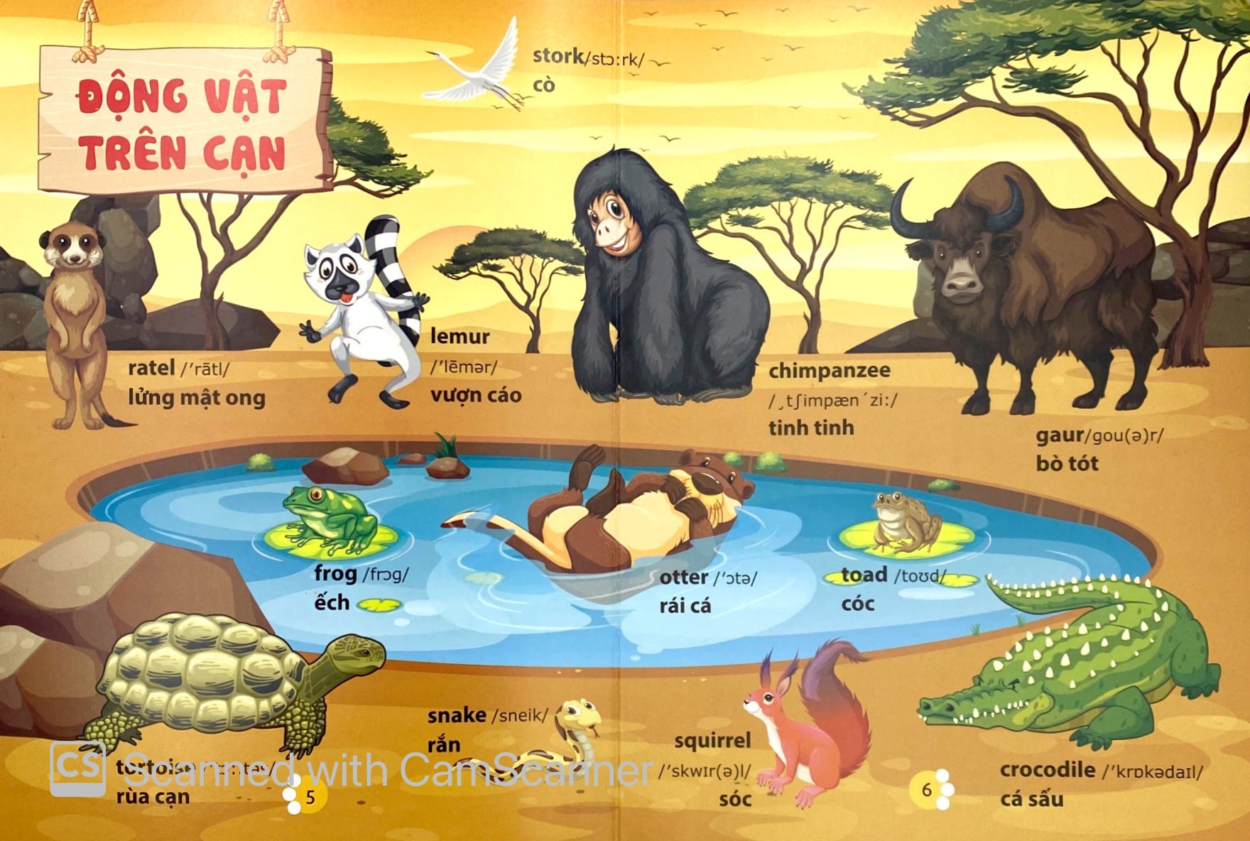 từ điển phát triển ngôn ngữ bằng hình dành cho trẻ mầm non - chủ đề: động vật