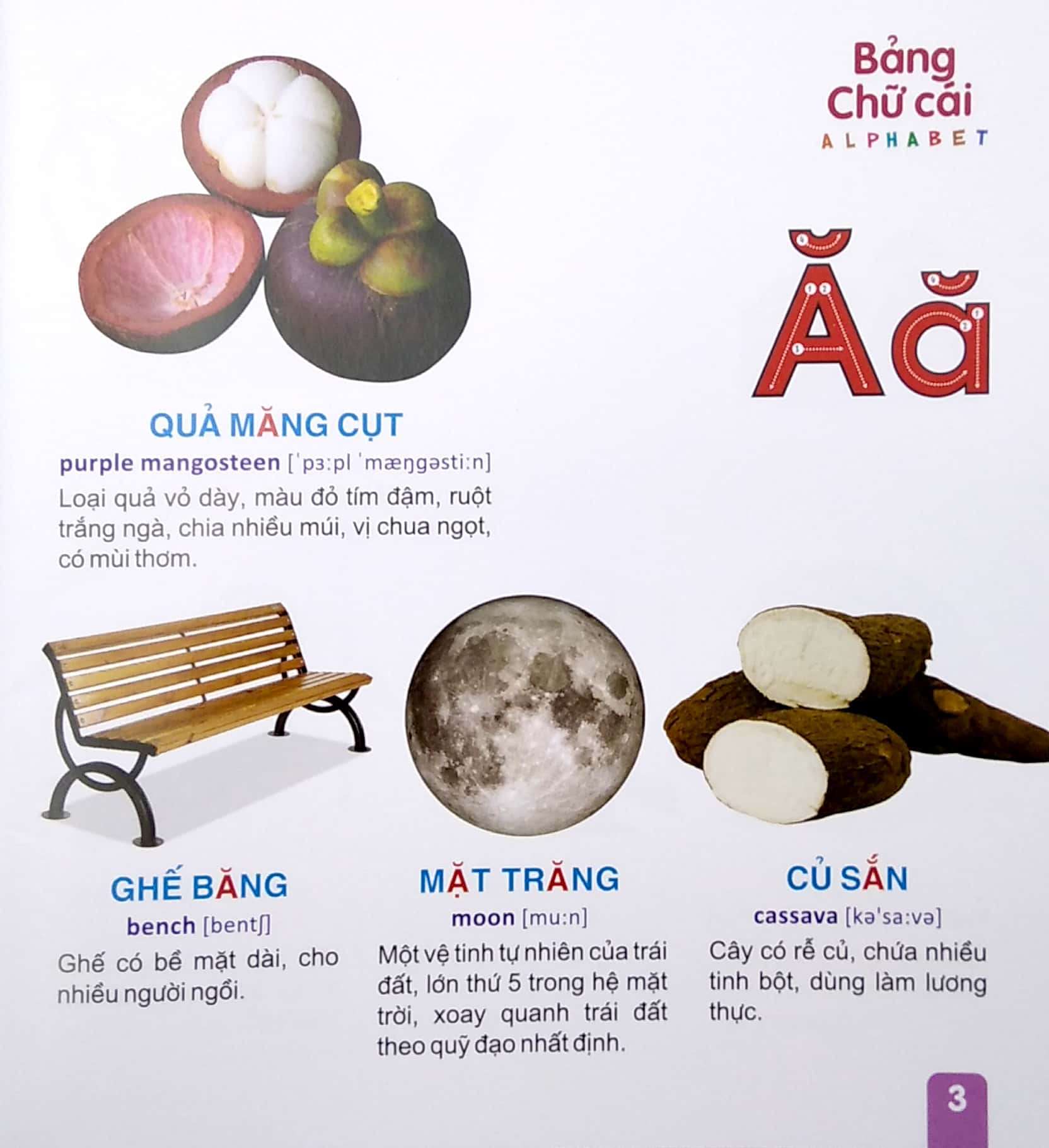 từ điển tranh - bảng chữ cái (dành cho thiếu nhi) (2022)