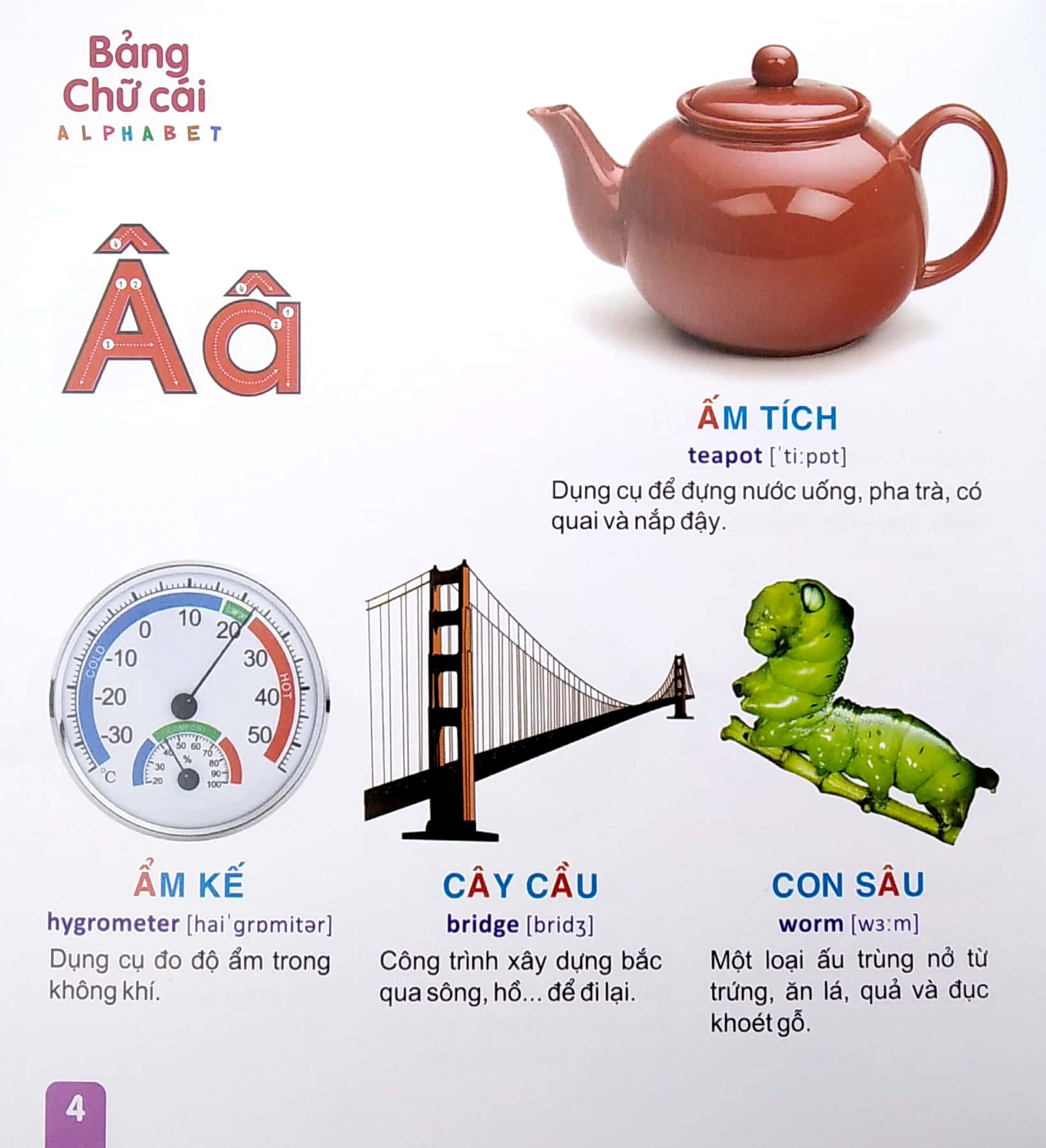 từ điển tranh - bảng chữ cái (dành cho thiếu nhi) (2022)