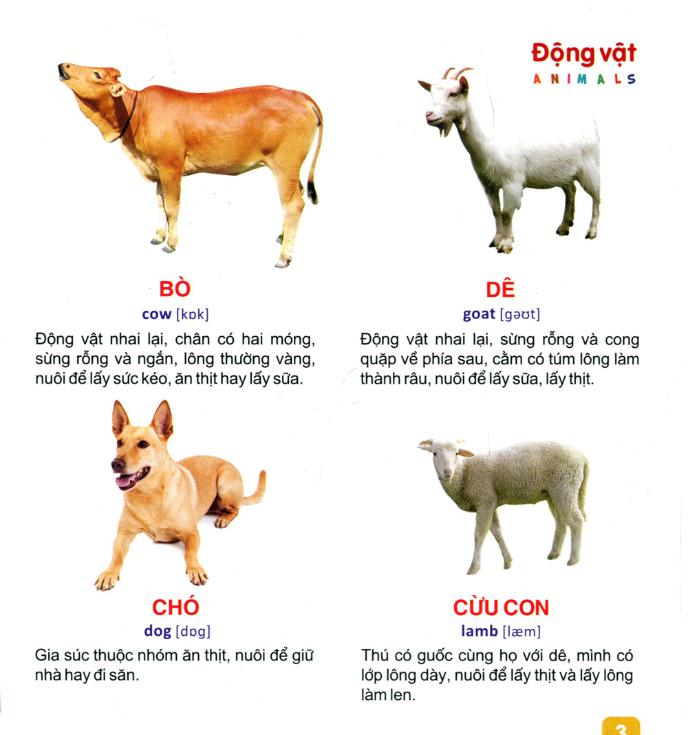 từ điển tranh dành cho thiếu nhi - động vật, cá