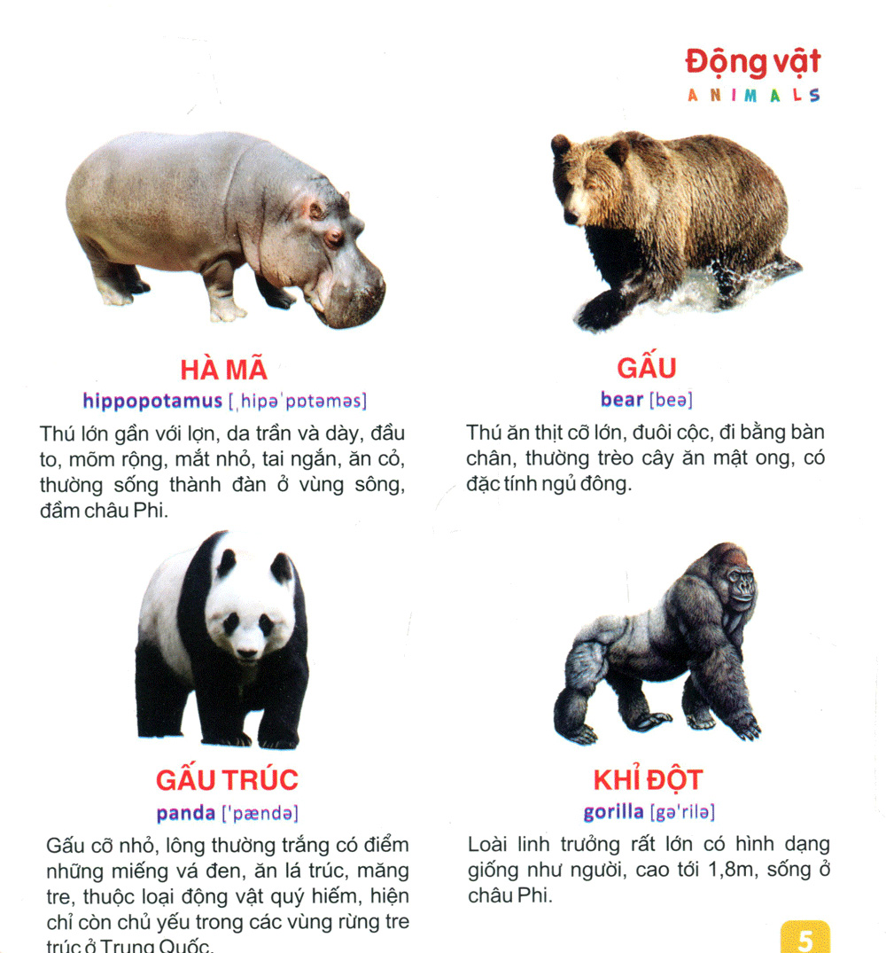 từ điển tranh dành cho thiếu nhi - động vật, cá