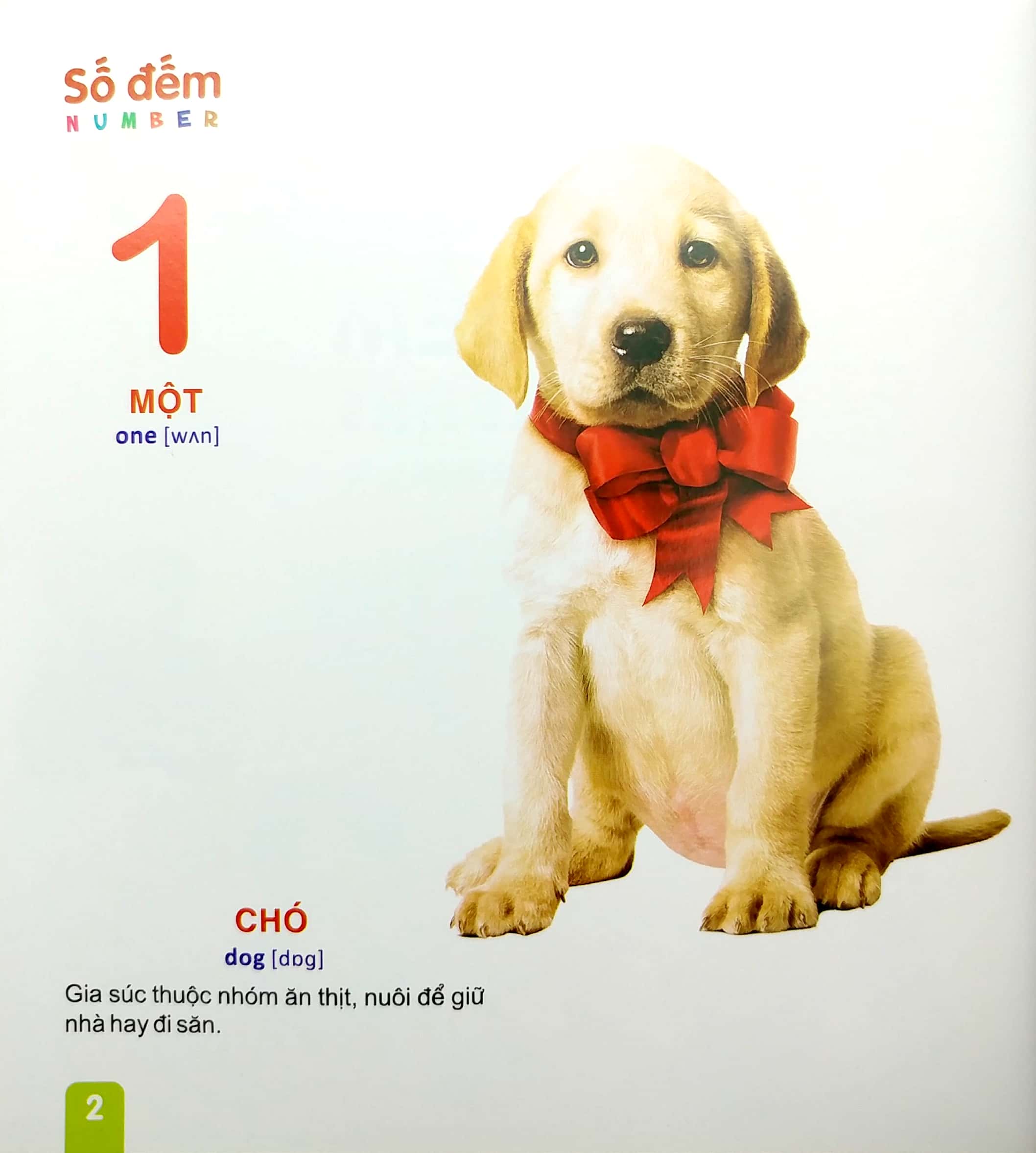 từ điển tranh - dành cho thiếu nhi: số đếm (2022)