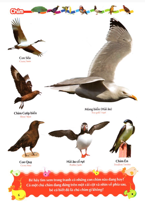 từ điển tranh về các con vật (2022)