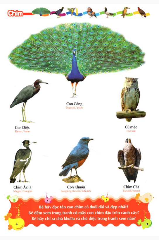 từ điển tranh về các con vật (2022)