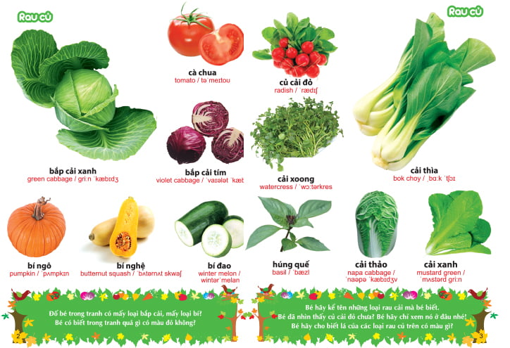 từ điển tranh về rau - củ - quả - hoa (2017)