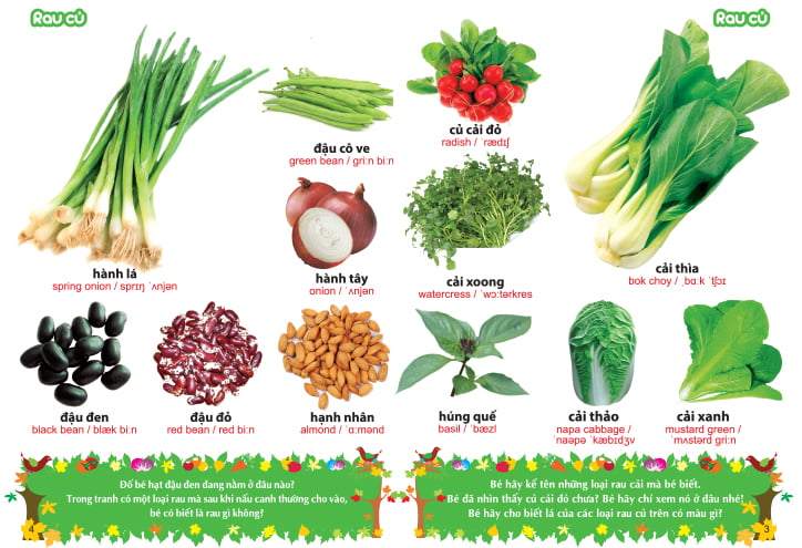 từ điển tranh về rau - củ - quả - hoa (2017)