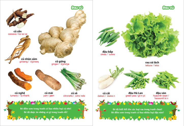 từ điển tranh về rau - củ - quả - hoa (2017)