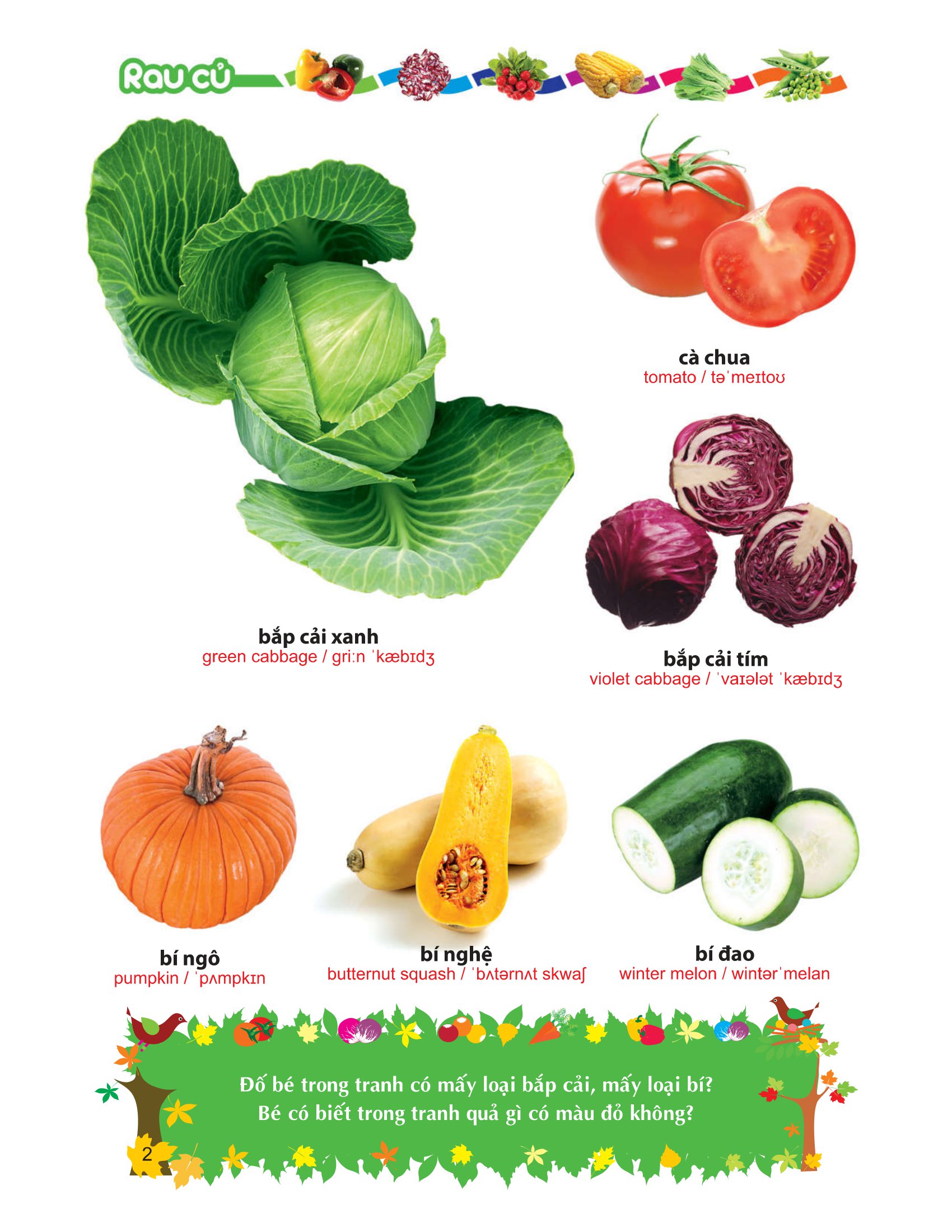 từ điển tranh về rau - củ - quả - hoa