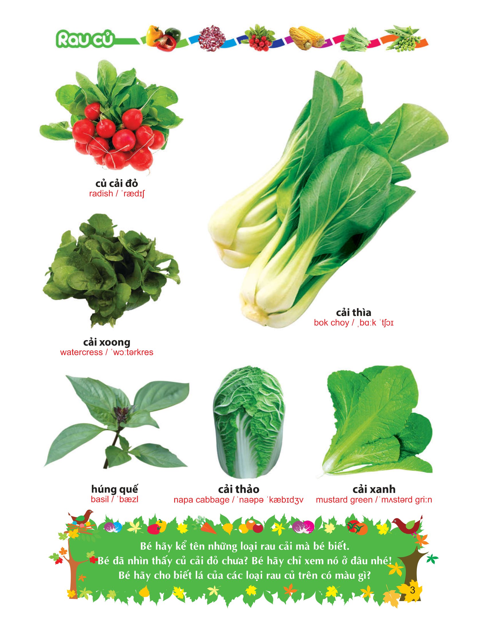 từ điển tranh về rau - củ - quả - hoa