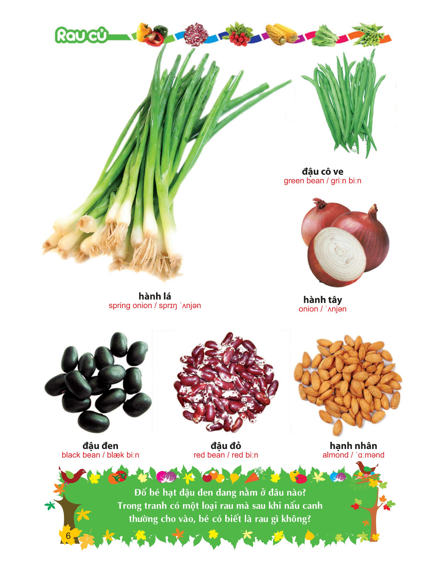 từ điển tranh về rau - củ - quả - hoa