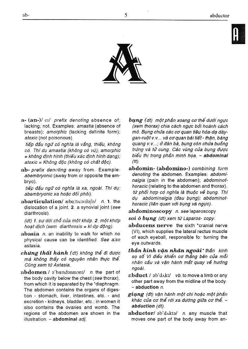 từ điển y học anh việt