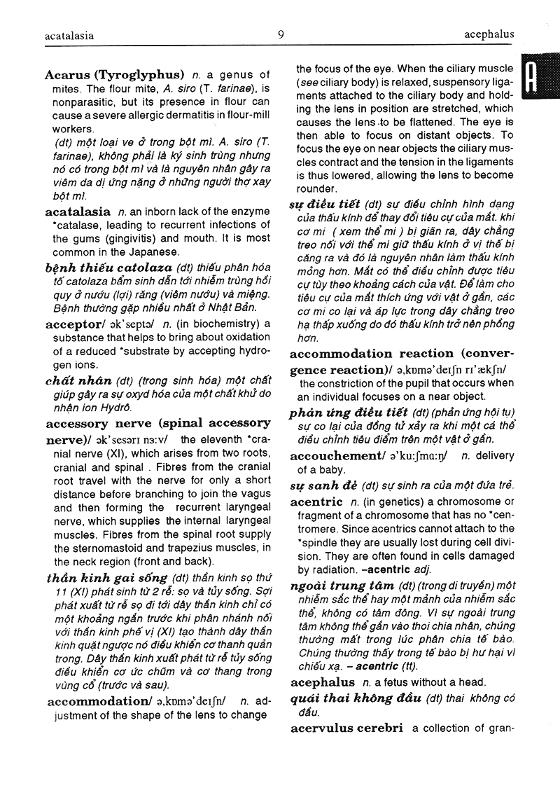 từ điển y học anh việt