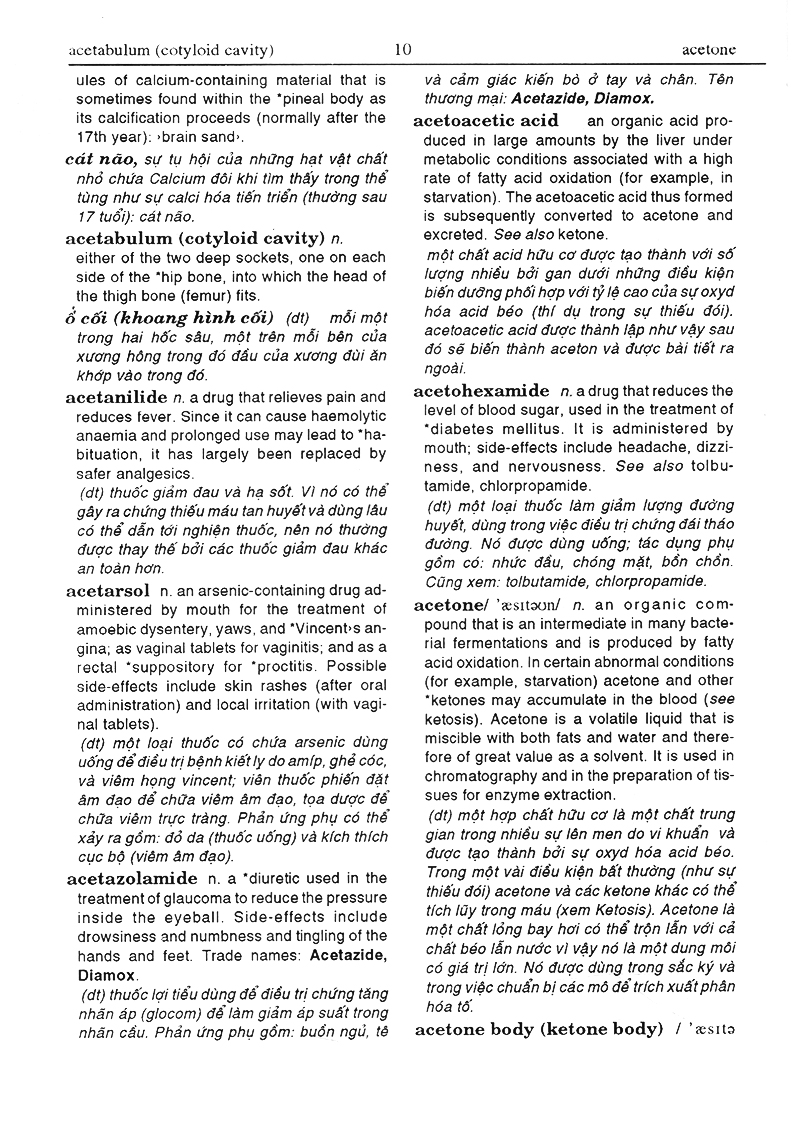 từ điển y học anh việt