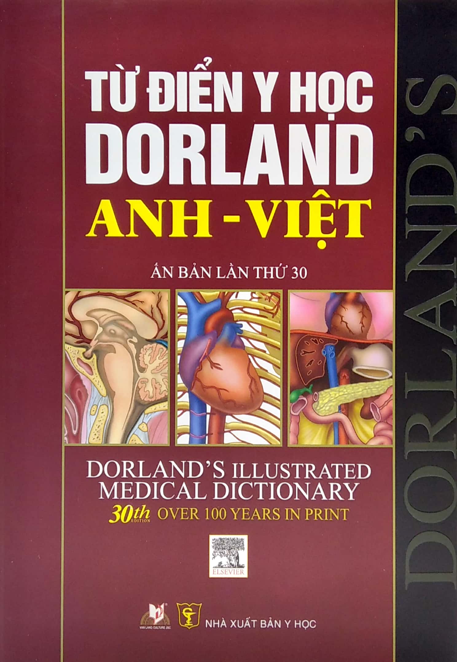 từ điển y học dorland anh - việt