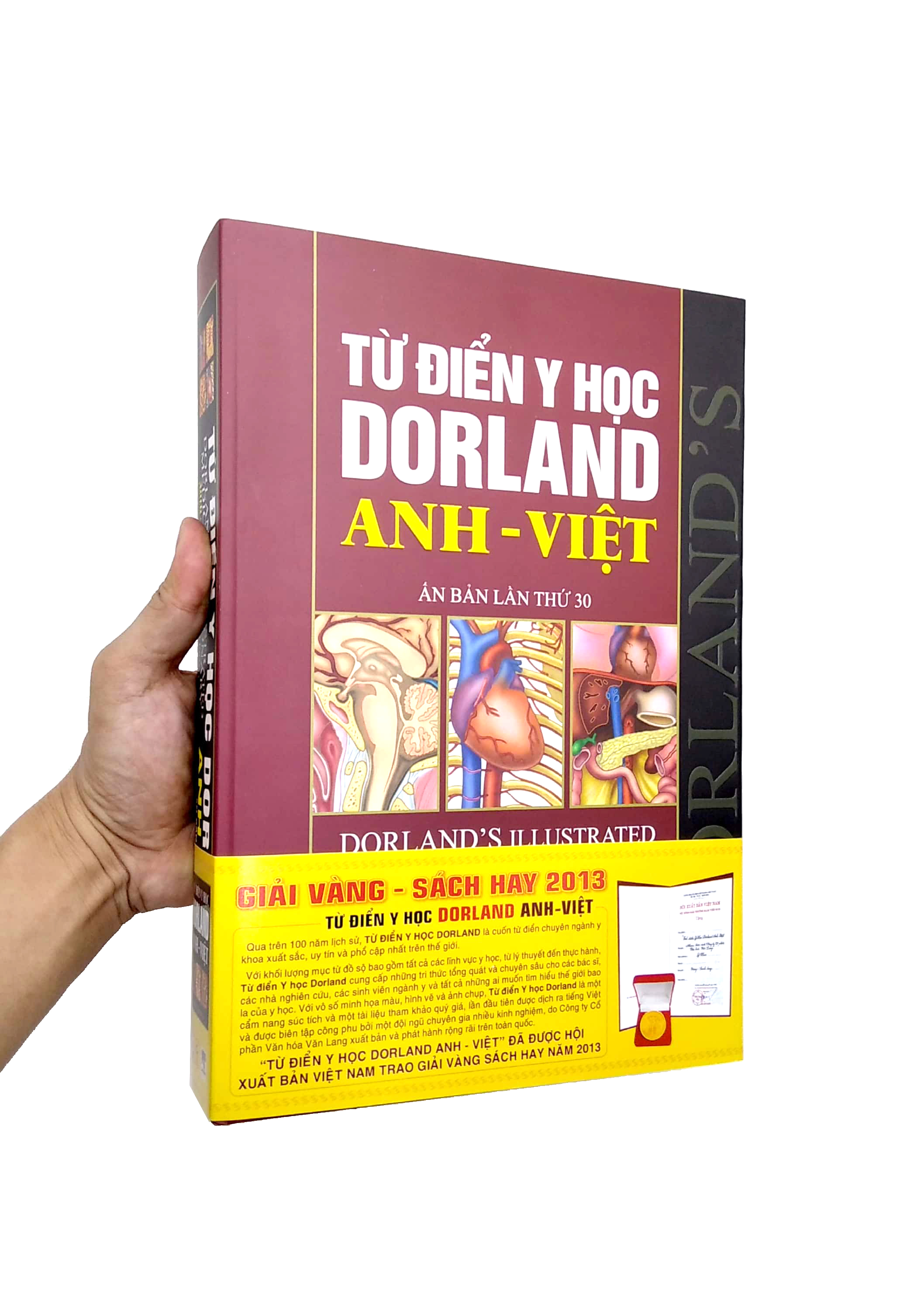 từ điển y học dorland anh - việt