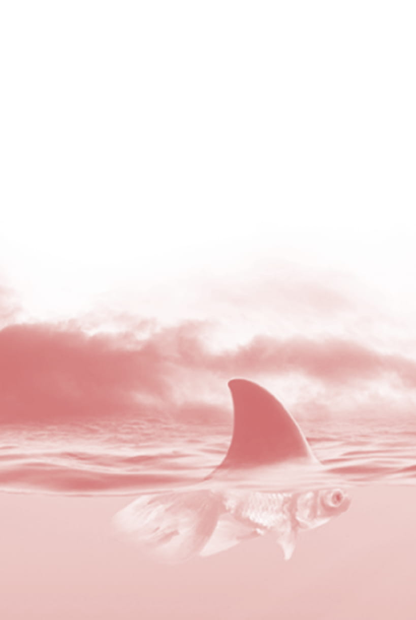 tư duy cá mập - suy nghĩ cá vàng (tái bản 2022)