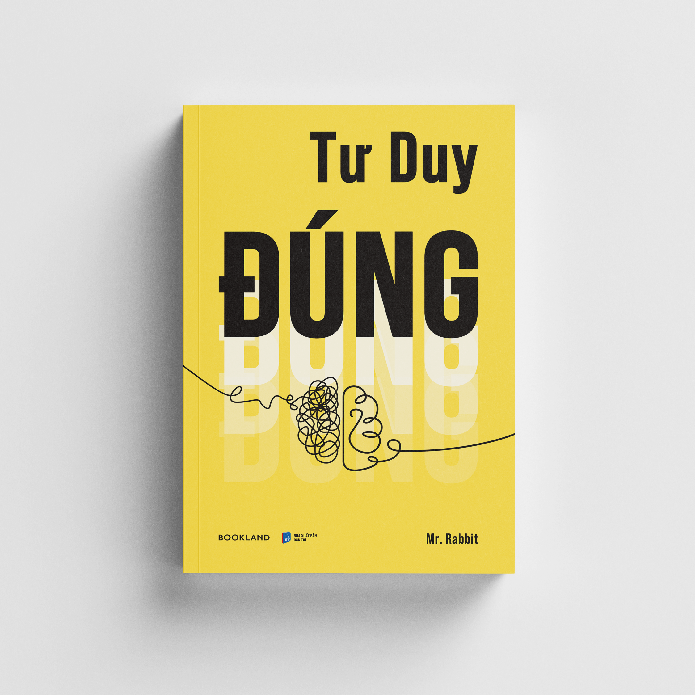 Tu Duy Dung