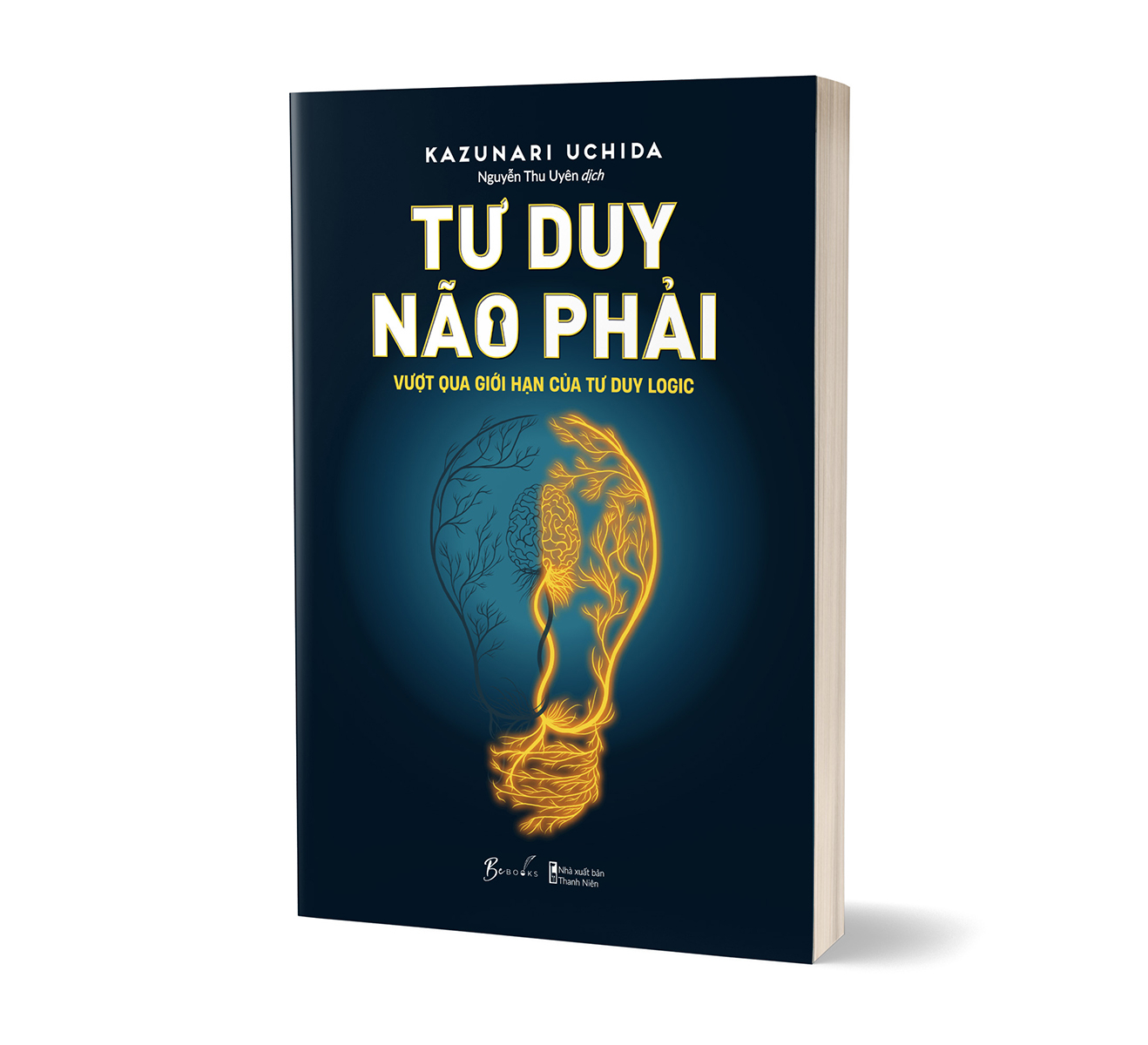 tư duy não phải - vượt qua giới hạn của tư duy logic