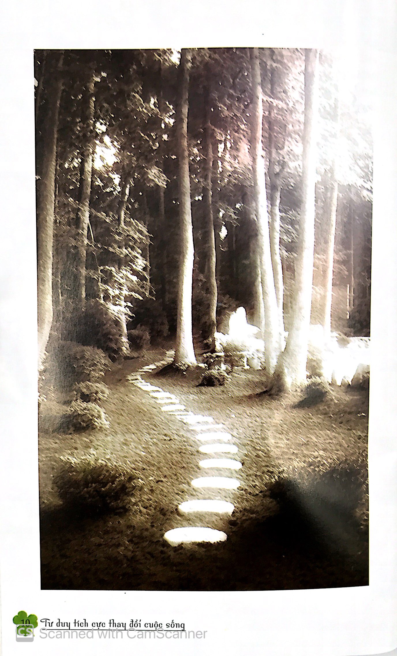 Tu Duy Tich Cuc Thay Doi Cuoc Song (Tai Ban)