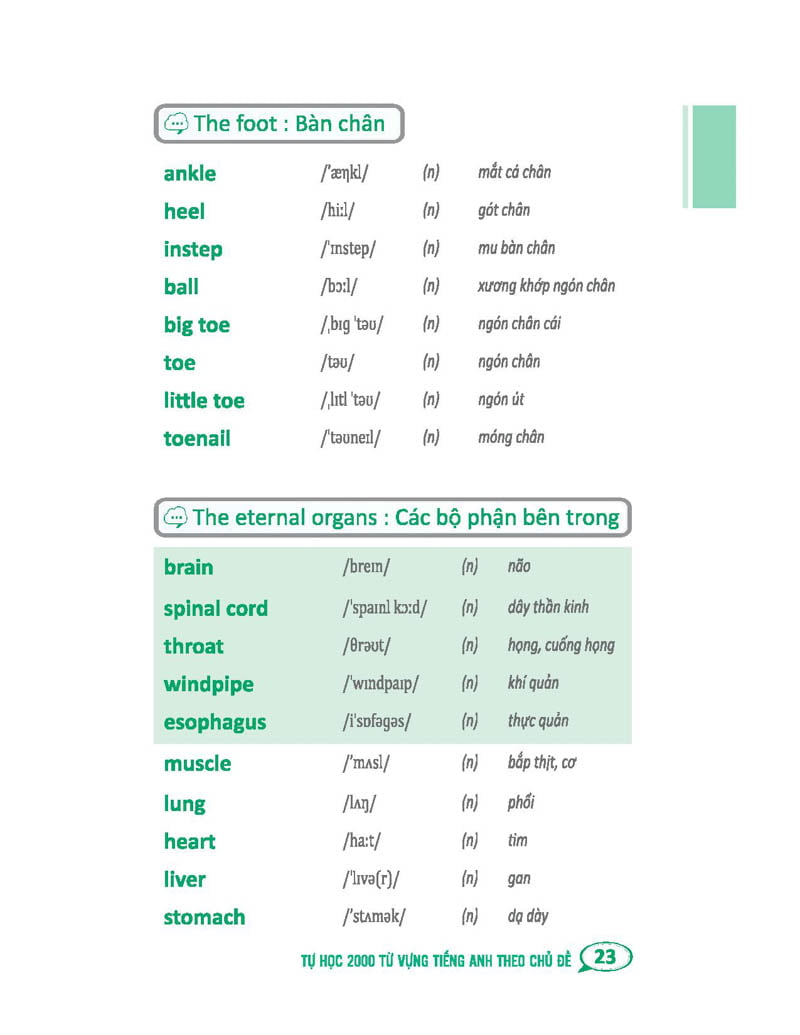 tự học 2000 từ vựng tiếng anh theo chủ đề (tái bản)
