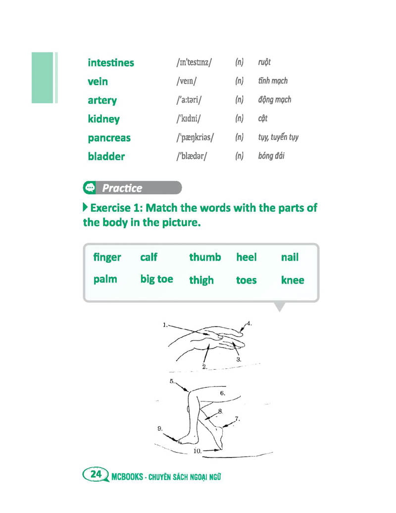 tự học 2000 từ vựng tiếng anh theo chủ đề (tái bản)