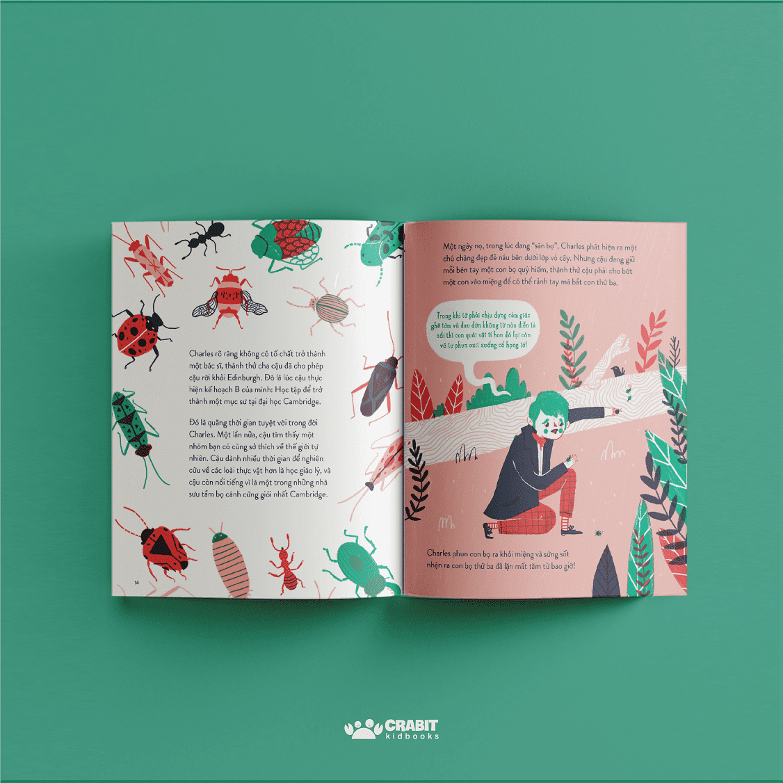 từ nhỏ bé đến phi thường - charles darwin - bìa cứng