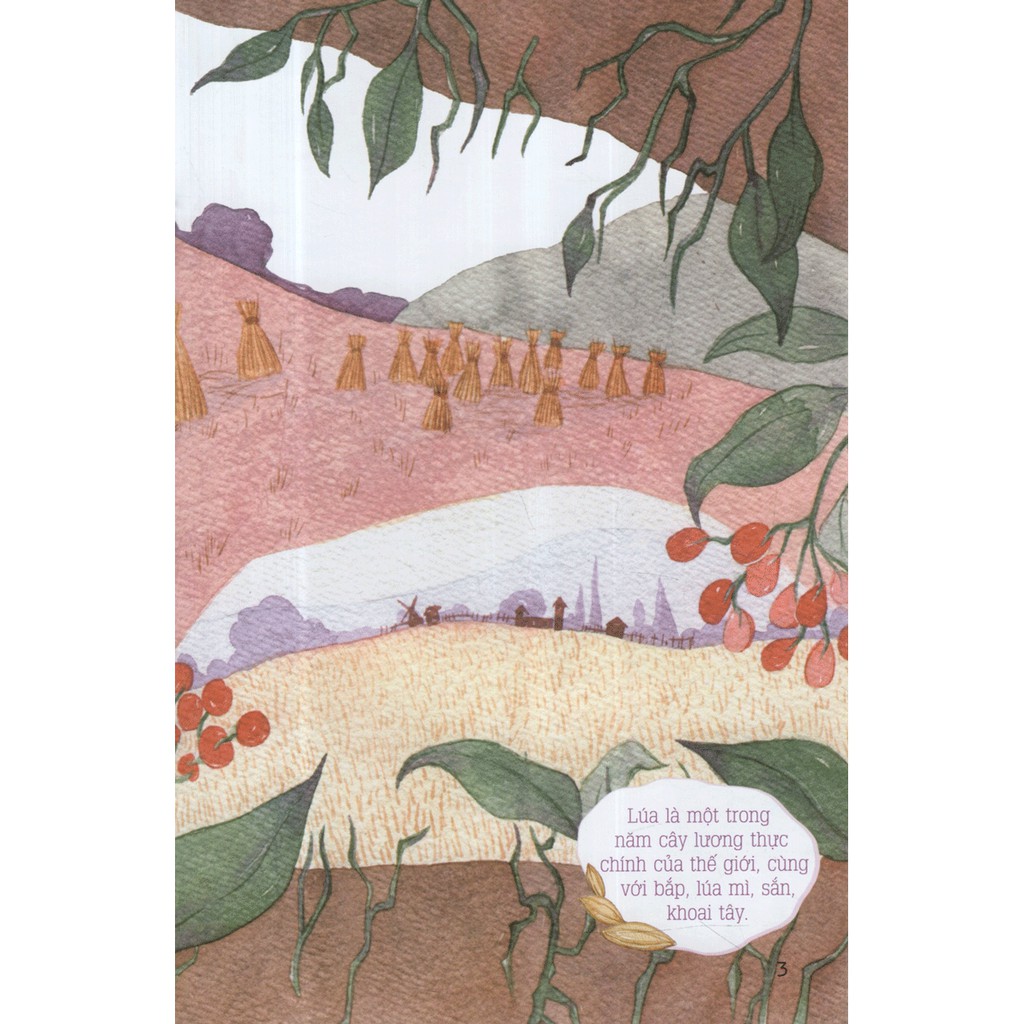 từ những hạt mầm - chuột đồng mê lúa (tái bản 2019)