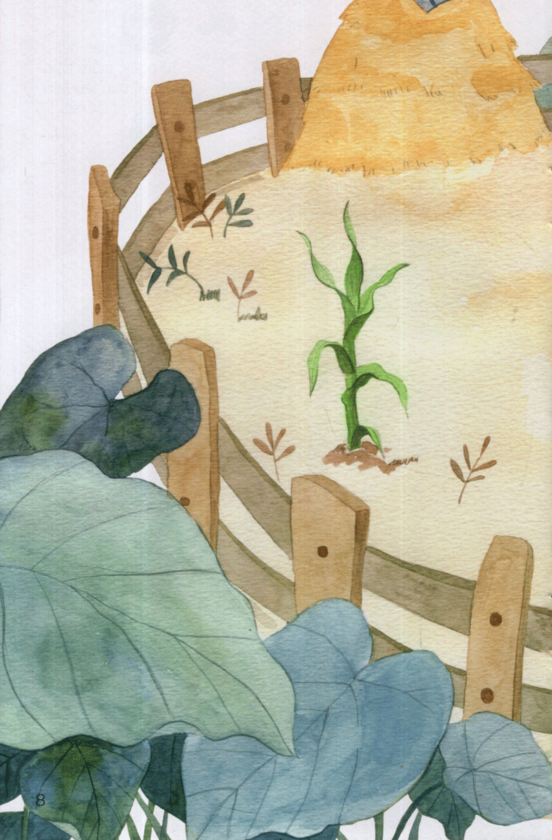 từ những hạt mầm - gà choai trồng bắp (tái bản 2019)