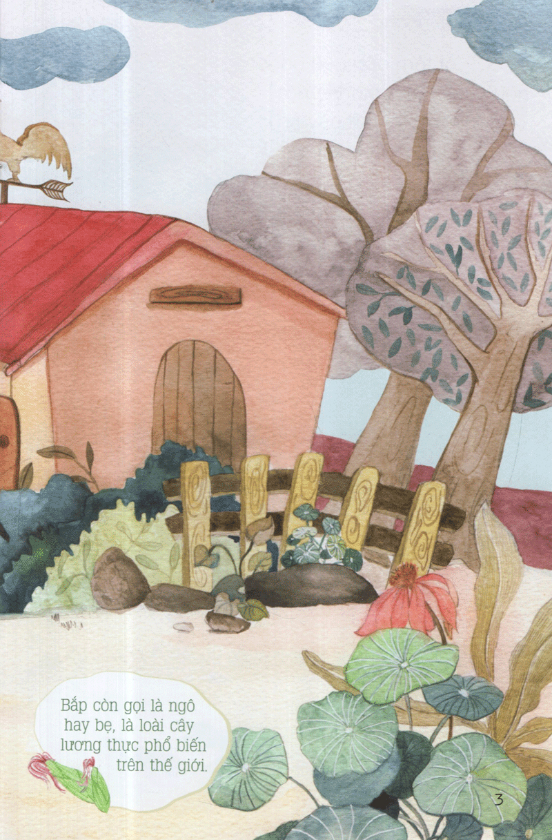 từ những hạt mầm - gà choai trồng bắp (tái bản 2019)