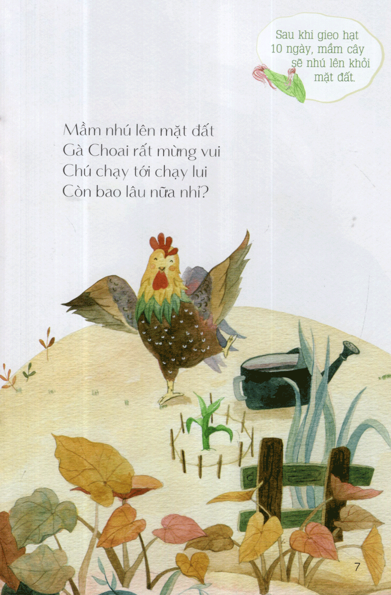 từ những hạt mầm - gà choai trồng bắp (tái bản 2019)