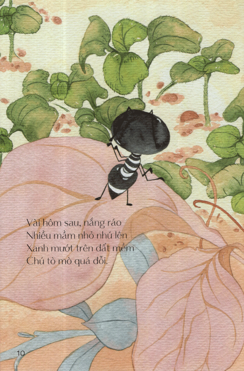 từ những hạt mầm - kiến đen tìm mè (tái bản 2019)