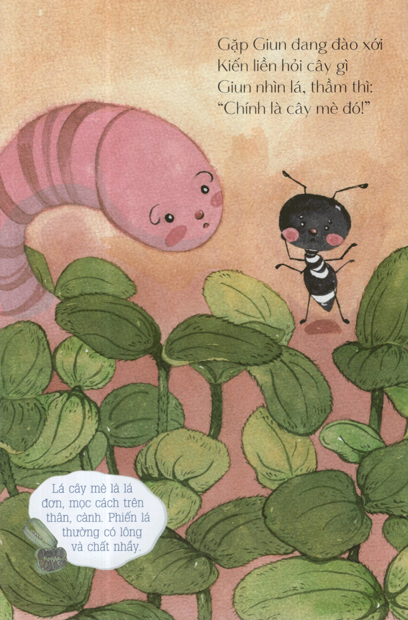 từ những hạt mầm - kiến đen tìm mè (tái bản 2019)