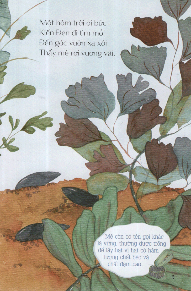 từ những hạt mầm - kiến đen tìm mè (tái bản 2019)