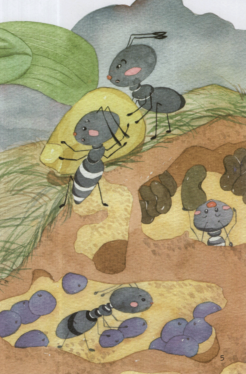 từ những hạt mầm - kiến đen tìm mè (tái bản 2019)