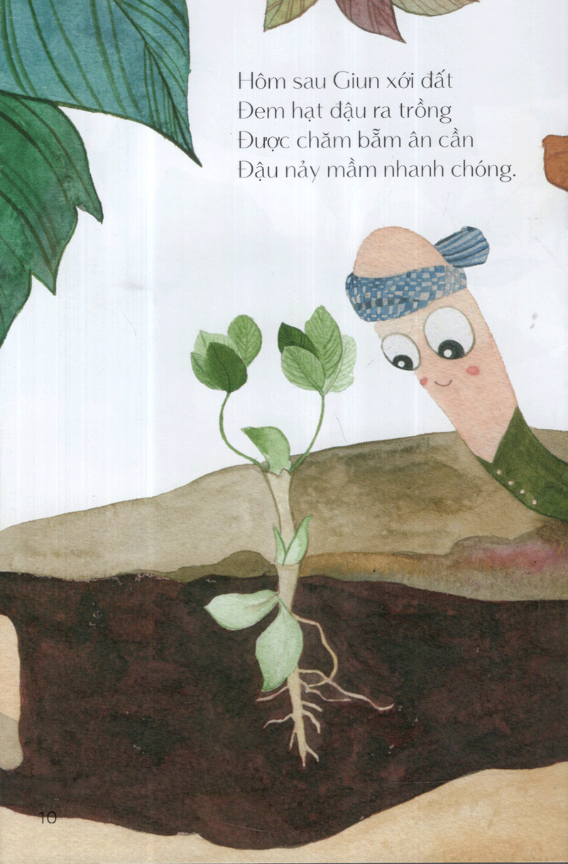 từ những hạt mầm - vườn đậu của giun (tái bản 2019)