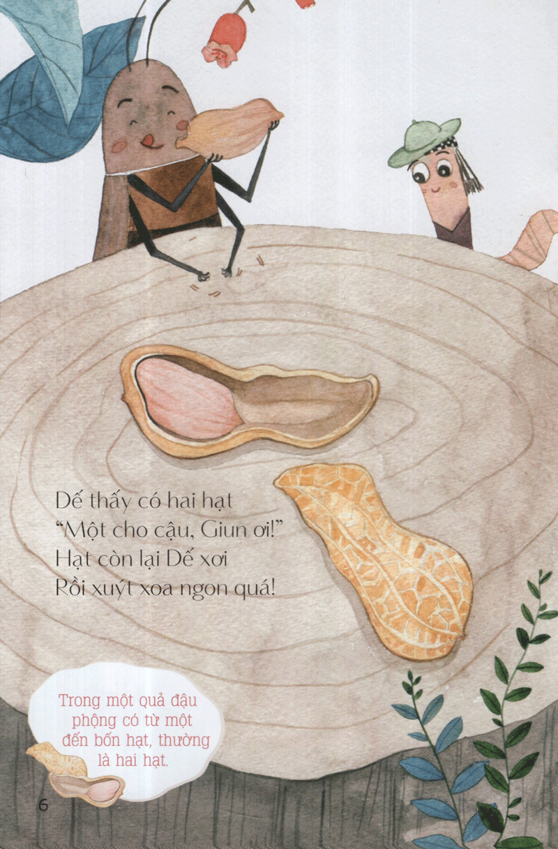 từ những hạt mầm - vườn đậu của giun (tái bản 2019)