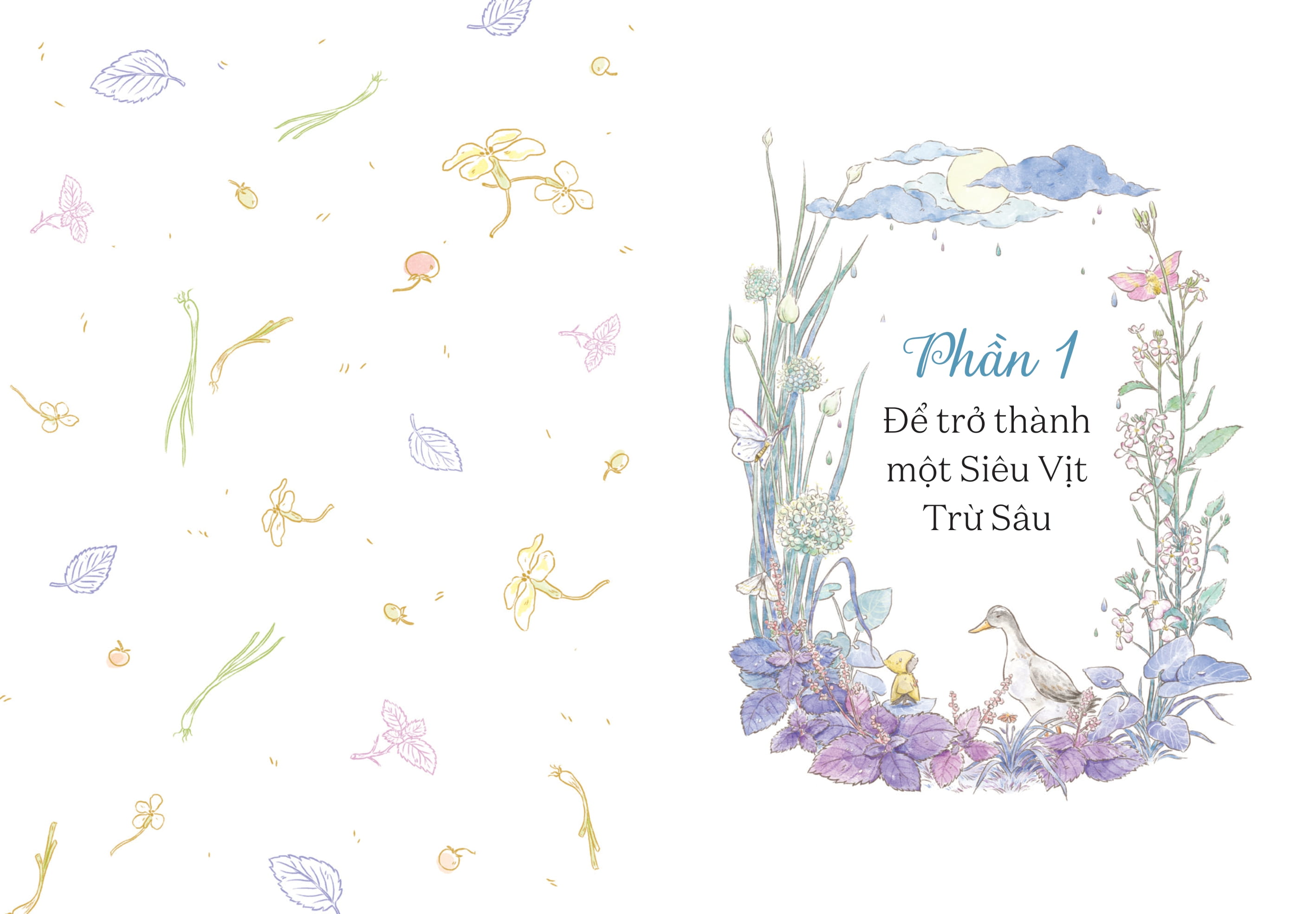 từ những ruộng rau ở nông trại cúc cu