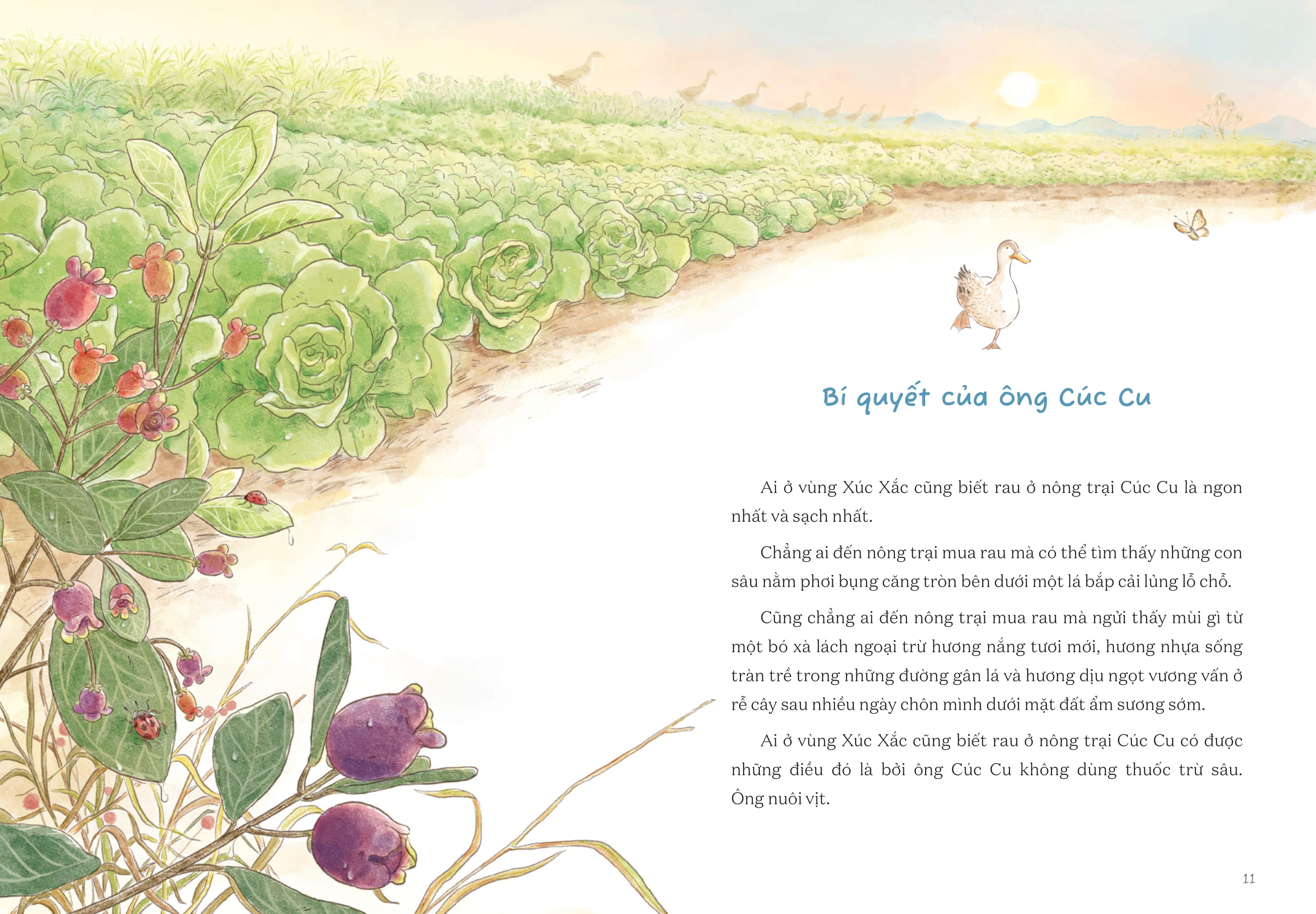 từ những ruộng rau ở nông trại cúc cu